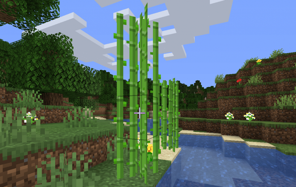 Minecraft sugar cane
