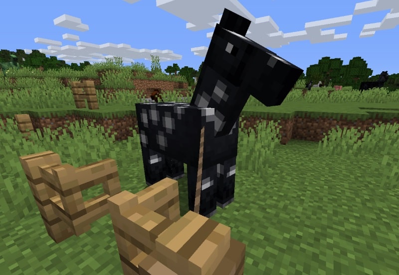 horse lead leashing a horse to a fence in minecraft