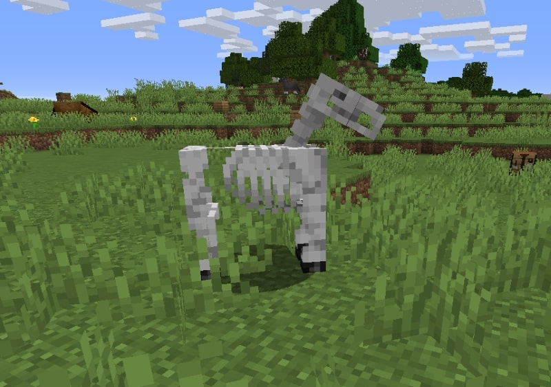 minecraft skeleton horse