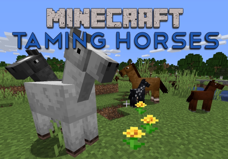 decorative image for how to tame a horse in minecraft